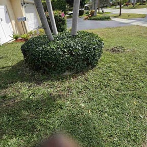 Bush Trimming by New Direction Lawn Care LLC reviewed on August 18, 2025