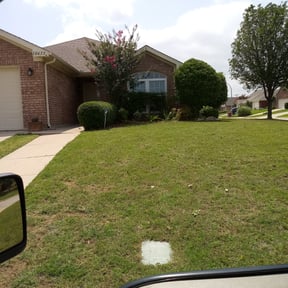 Bush Trimming by T & S Lawn Care Services reviewed on August 19, 2025