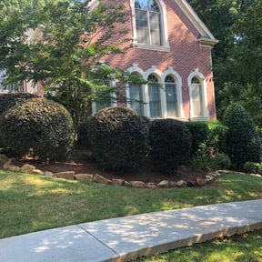 Bush Trimming by Grass master reviewed on August 19, 2025