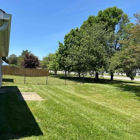 grass maintenance by Moo's Mowing, LLC reviewed on April 18, 2024