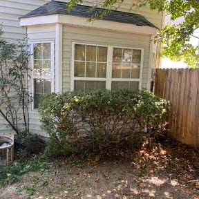 Bush Trimming by Leaf It To Us reviewed on November 7, 2025