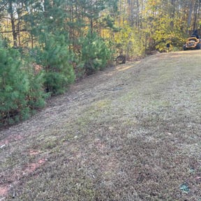 Leaf Removal by Jackson Landscapes reviewed on November 24, 2025