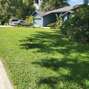 yard care by DOLA CONSTRUCTION reviewed on August 17, 2025