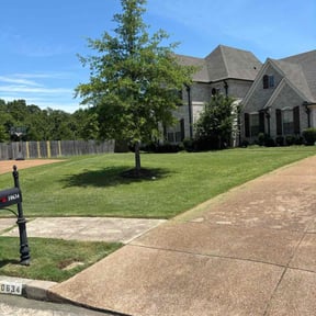 residential landscaping by A & A Landscaping reviewed on August 21, 2025