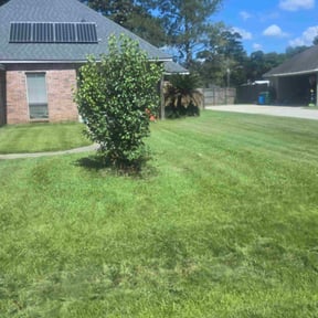 lawn care by TKW lawn maintenance reviewed on August 20, 2025