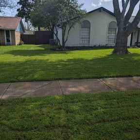 lawn care by Special Clips reviewed on June 21, 2025
