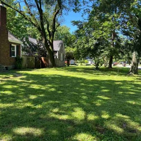 yard maintenance by Atlanta Junk Removal and Lawns reviewed on August 19, 2025