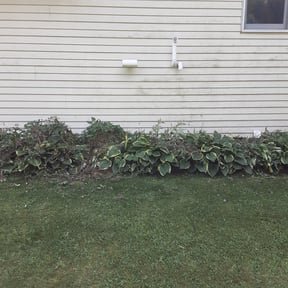 Flower Bed Weeding by McGraw Lawn & Landscaping reviewed on August 15, 2025