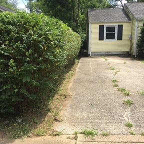Bush Trimming by Mow & Go reviewed on August 16, 2025