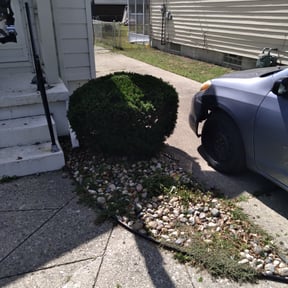 Bush Trimming by Klean kut lawn and landscape service. reviewed on August 17, 2025