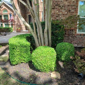 Bush Trimming by Wildflower Lawn Care Company reviewed on April 12, 2026