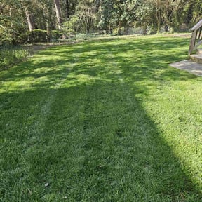 yard work by Sunnyside of Hillsborough reviewed on August 20, 2025