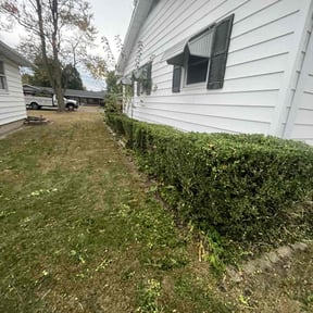 Bush Trimming by SGP Lawn Services reviewed on November 24, 2025