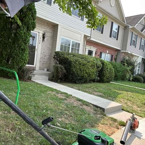 Bush Trimming by CE Lawns reviewed on August 16, 2025