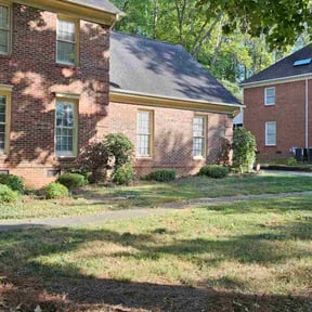 Bush Trimming by Rebecca Montague reviewed on June 29, 2022