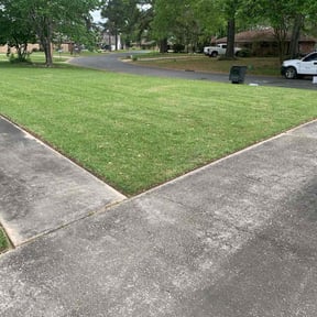landscaping by Lanie's Lawncare Services reviewed on August 16, 2025