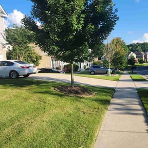 yard maintenance by Morgan Henry Lawn Care reviewed on August 20, 2025