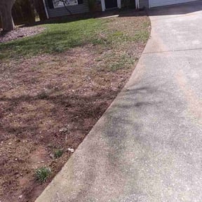 Leaf Removal by A yard to go reviewed on May 3, 2026