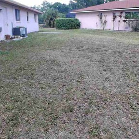 Leaf Removal by Chuyin's Lawn Care LLC reviewed on August 2, 2026