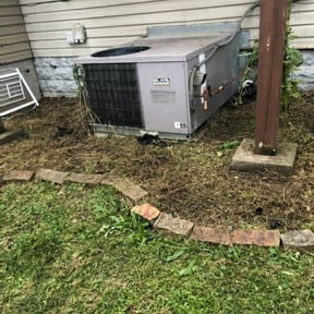 Flower Bed Weeding by Mower man reviewed on August 18, 2025