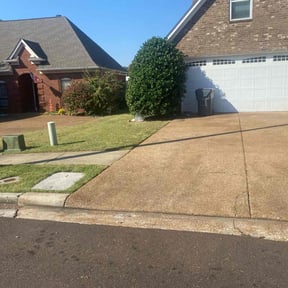 turf maintenance by Leggy Lawn Care reviewed on April 3, 2024