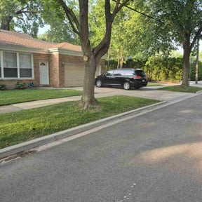 yard care by Jose Perez Landscaping reviewed on August 18, 2025