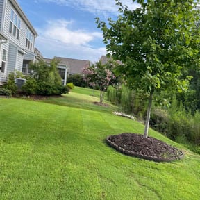 lawn care by Jennifers Clean Outdoors reviewed on March 23, 2024