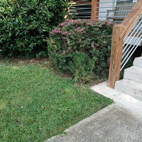 Bush Trimming by Ground Pro Maintenance, LLC. reviewed on August 19, 2025