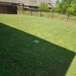 grass maintenance by Joe mowing reviewed on September 24, 2023