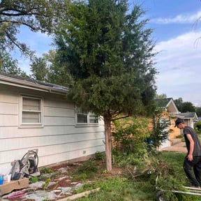 Bush Trimming by T AND S HANDYMAN SERVICE LLC reviewed on July 25, 2026