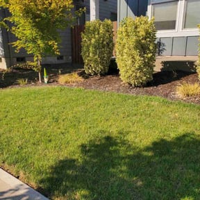yard work by J.C.London&#039;s Lawn and Landscaping Services LLC reviewed on August 15, 2025
