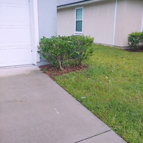 Bush Trimming by Camarena Cutting Edge Lawn Care reviewed on August 19, 2025