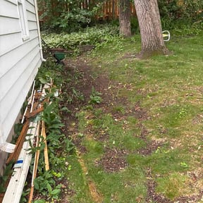 Leaf Removal by Power Cut Lawn Company reviewed on June 17, 2026