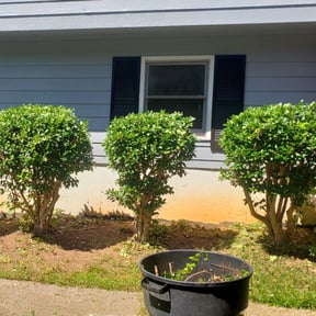 Bush Trimming by Pete’s Elite Lawn Care LLC reviewed on August 17, 2025