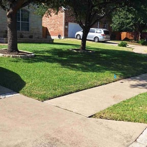 landscaping services by A Closer Look Residential Inspections LLC reviewed on August 18, 2025