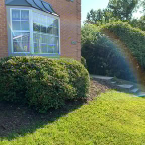 Bush Trimming by GoFresh Lawn Care reviewed on August 21, 2025