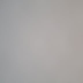 Bush Trimming by TN Lawn Services LLC. reviewed on August 17, 2025