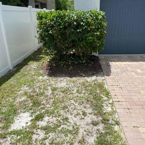Bush Trimming by Big 3 Lawns and Landscaping reviewed on August 16, 2025