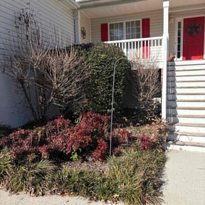 Bush Trimming by Tom's home and yard reviewed on December 21, 2025