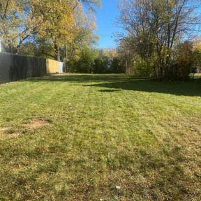 Bush Trimming by Pine Construction L.L.C. reviewed on November 5, 2025