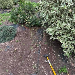 Flower Bed Weeding by Canary Yard Care reviewed on November 20, 2025