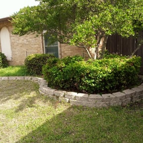Bush Trimming by Tree o five landscaping llc reviewed on August 19, 2025