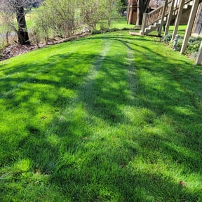 gardening service by BushesGreenerLawn reviewed on August 18, 2025