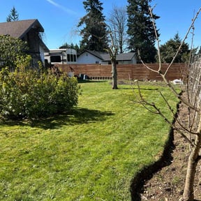 yard maintenance by MCI Conveyor Solutions LLC reviewed on August 19, 2025