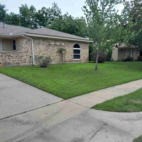 gardening service by The Green Cutters reviewed on November 26, 2025