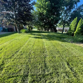 yard maintenance by Christopherson’s Lawn Services LLC reviewed on August 21, 2025