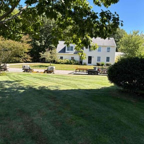 grass maintenance by R & Y lawn services reviewed on May 14, 2024
