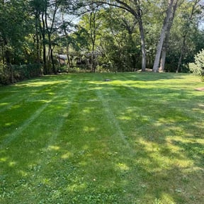 yard service by Lawn Scapes reviewed on August 19, 2025