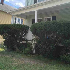 Bush Trimming by Ground Up Exterior Services reviewed on August 19, 2026