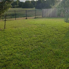 landscape maintenance by My Master Garden reviewed on August 20, 2025